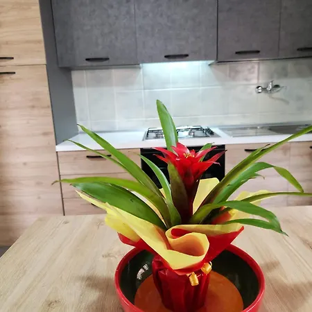 Casa Medefaby Prázdninový dům