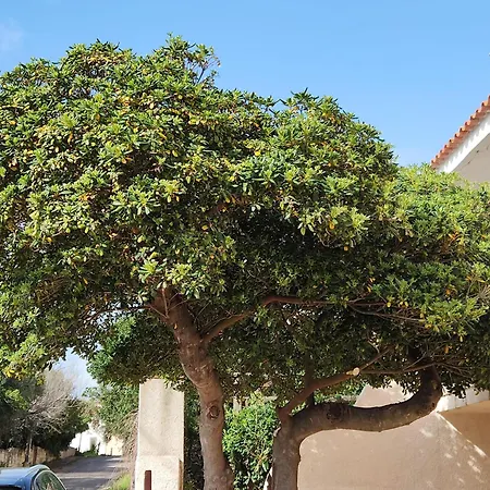 Prázdninový dům Casa Medefaby S'archittu Cuglieri