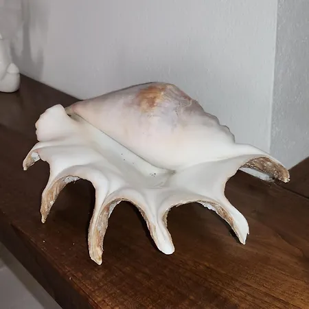 Casa Medefaby *