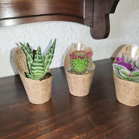 Prázdninový dům Casa Medefaby S'archittu Cuglieri