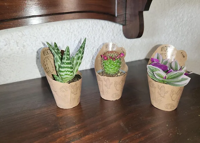 Feriehus Casa Medefaby S'archittu Cuglieri